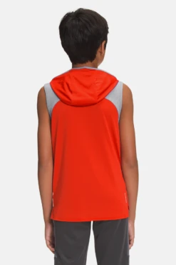 North Face Never Stop Hoodie - Poinciana -Little Boys Clothes Sales 1NF0A7QI9 HCU backcopy2