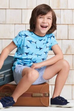 Boys Shorts Hatley Blue Stripes Woven (Size 3 Left) -Little Boys Clothes Sales 1bluestripesshortsC