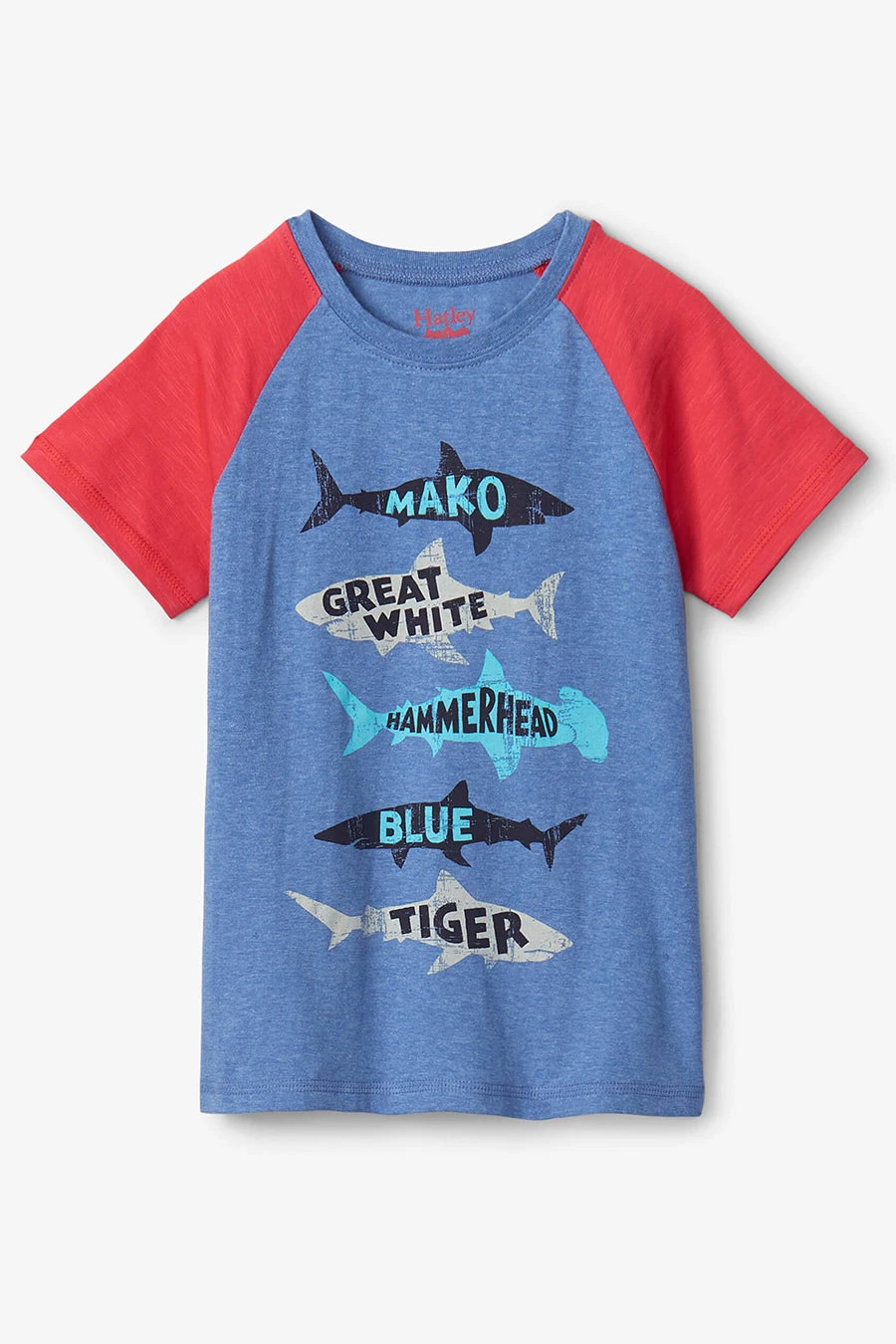 Boys Shirt Hatley Lots Of Sharks 4 Boys Shirt Hatley Lots Of Sharks - Image 2