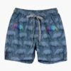 Boys Swim Paper Wings Rhino Boardshorts -Little Boys Clothes Sales 1rhinoswim