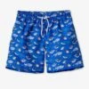 Boys Swim Stella Cove Shark Trunks (Size 2 Left) -Little Boys Clothes Sales 1sharkboardshorts