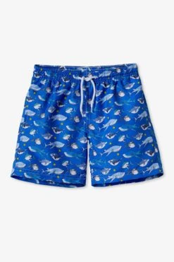 Boys Swim Stella Cove Shark Trunks (Size 2 Left)