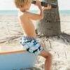 Boys Swim Shark Board Shorts -Little Boys Clothes Sales SR16 66 final cropped