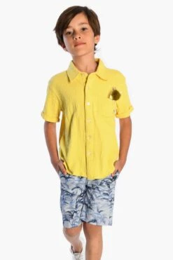 Boys Shorts Appaman Blue Palms -Little Boys Clothes Sales blue palms boys shorts 1 blue palms