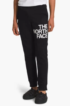 Boys Sweatpants North Face Camp TNF Black (Size 14/16 Left) 14 Boys Sweatpants North Face Camp TNF Black (Size 14/16 Left) -Little Boys Clothes Sales camp fleece jogger tnf black 2 tnf black
