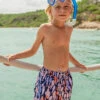 Boys Swim Snapper Rock Fish Frenzy Volley -Little Boys Clothes Sales fish frenzy volley 1 navy