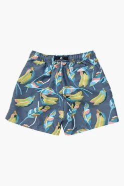 Boys Swim Snapper Rock Going Bananas Volley Board Shorts -Little Boys Clothes Sales going bananas volley board swim shorts 4 slate