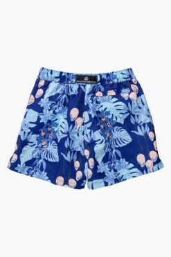 Boys Swim Snapper Rock Mango Tango Volley Board Shorts -Little Boys Clothes Sales mango tango volley board swim shorts 6 blue