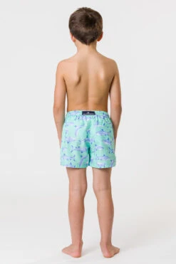 Boys Swim Snapper Rock Minty Shark Volley Board Shorts -Little Boys Clothes Sales minty shark volley board swim shorts 4 mint