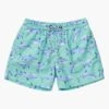 Boys Swim Snapper Rock Minty Shark Volley Board Shorts -Little Boys Clothes Sales minty shark volley board swim shorts 5 mint