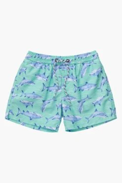 Boys Swim Snapper Rock Minty Shark Volley Board Shorts