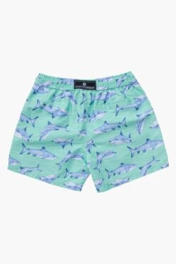 Boys Swim Snapper Rock Minty Shark Volley Board Shorts -Little Boys Clothes Sales minty shark volley board swim shorts 6 mint