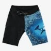 Boys Swim Molo Orca Shorts (Size 12 Left) 2 Boys Swim Molo Orca Shorts (Size 12 Left) -Little Boys Clothes Sales orca short