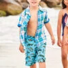 Boys Swim Hatley Rambunctious Reptiles Trunks -Little Boys Clothes Sales rambunctious reptiles boys swim trunks 1 aqua