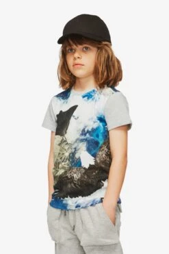Molo Raven Boys Shirt -Little Boys Clothes Sales sting ray life