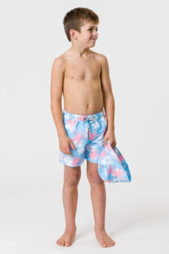 Boys Swim Snapper Rock Turtle Tide Volley Board Shorts -Little Boys Clothes Sales turtle tide volley board swim shorts 2 blue
