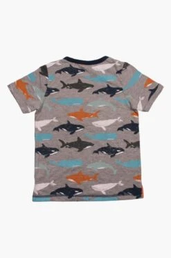 Bear Camp Whale Boys T-Shirt -Little Boys Clothes Sales whale boys t shirt 1 grey heather ca7750f4 d2d6 49ec 90d3 4bbf70ee9488